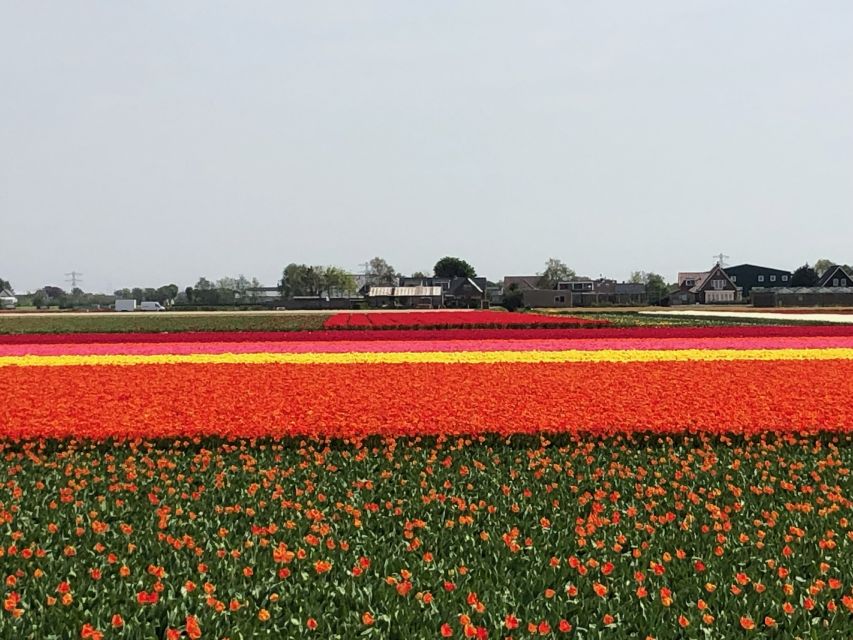 Keukenhof, Flower Fields & Zaanse Schans Windmills Tour - Experience Details