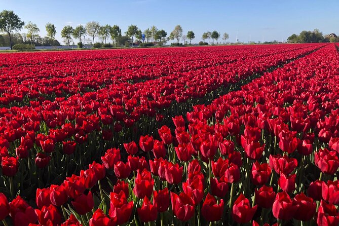 Keukenhof Gardens and Delft Guided Tour From Amsterdam - Pottery Factory Demonstration