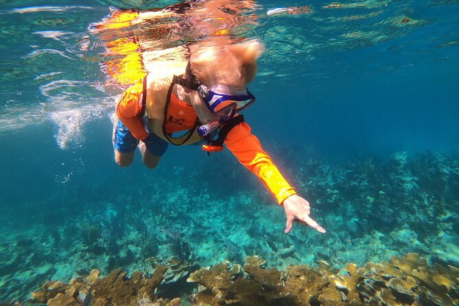 Key Largo Two Reef Snorkel Tour - All Snorkel Equipment Included! - Customer Feedback Highlights