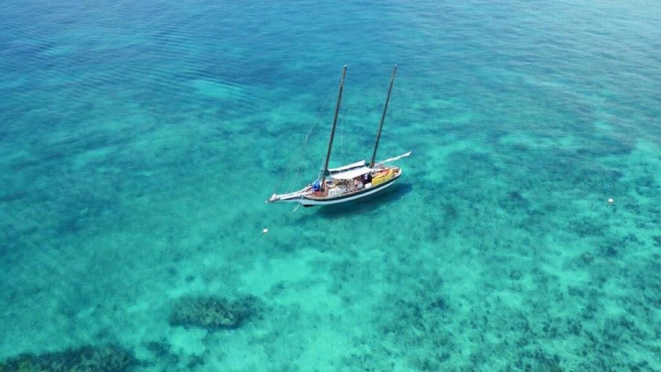 Key West: Full Day Tour of Key West National Wildlife Refuge - Guided Snorkeling in Backcountry