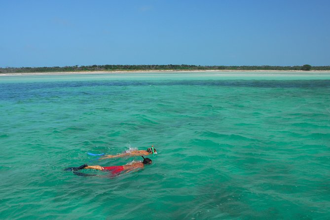 Key West Island Adventure: Kayak, Snorkel, Paddleboard - Activities and Inclusions