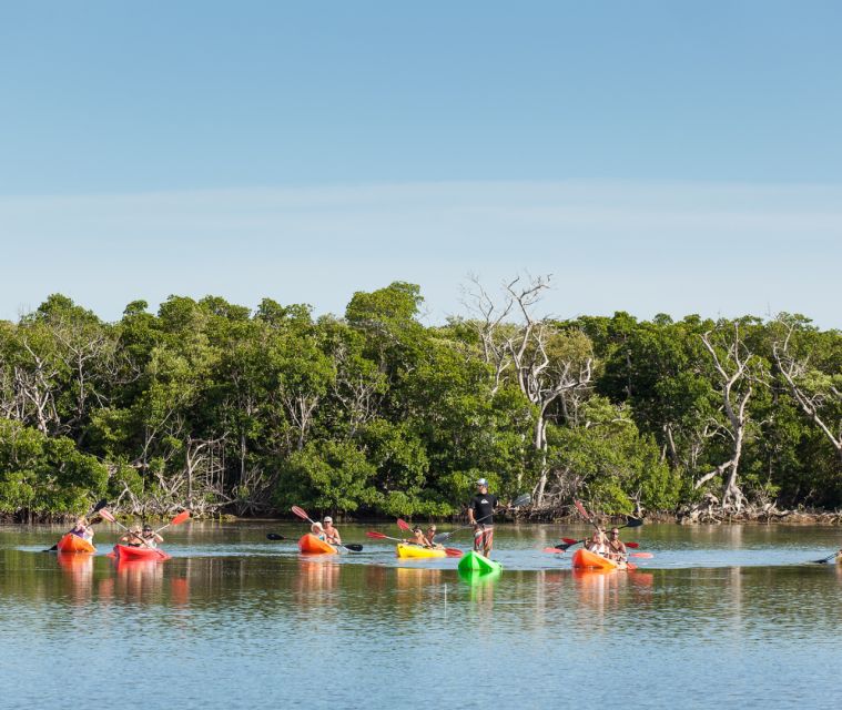 Key West Morning Sail, Snorkel & Kayak Excursion - Participant Capacity