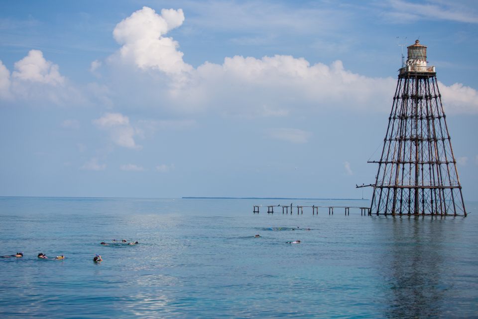 Key West: Sunset Snorkel Cruise With Draft Beer & Wine - Important Information