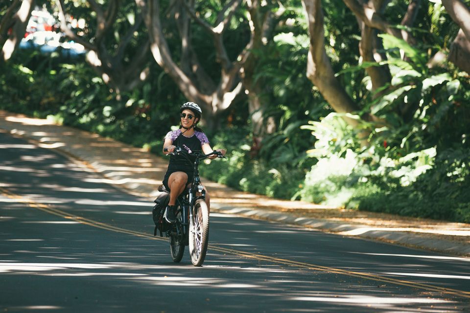 Kihei, Maui: Southside Ebike Rentals - Rental Bike Features and Inclusions