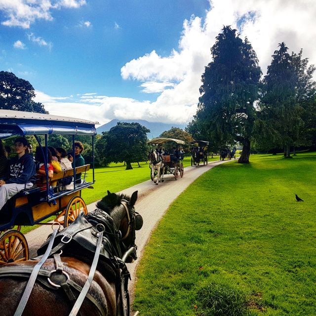 Killarney: Jaunting Car Tour With Craft Brewery Visit - Highlights of the Experience