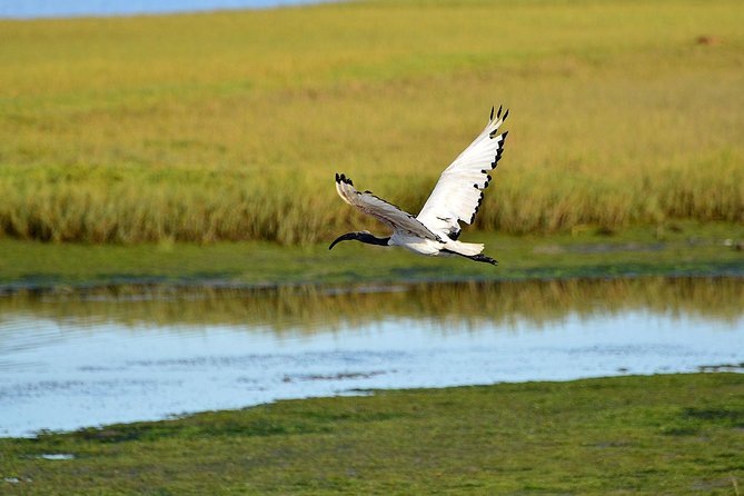 Knysna Heads & Lagoon Adventure Tour - Traveler Reviews