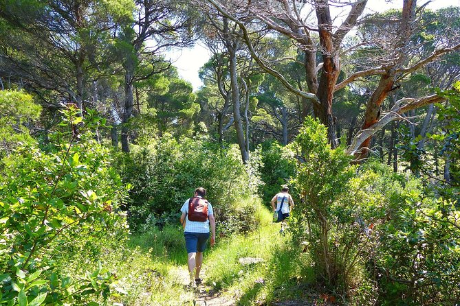 Kolocep Island Hiking and Swimming Full Day Trip From Dubrovnik - Review Highlights