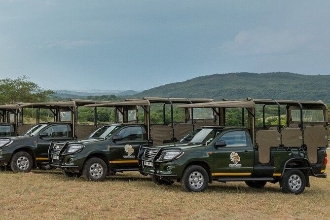 Kruger National Park Afternoon Private Safari - Tour Operator Information