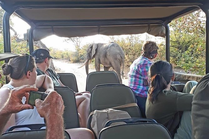 Kruger National Park Private Full-Day Safari - Private Safari Vehicle & Guide - Included Amenities