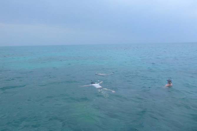 Kwale Island Dhow Sailing Tour From Zanzibar With Seafood Lunch - Baobob Tree Climb