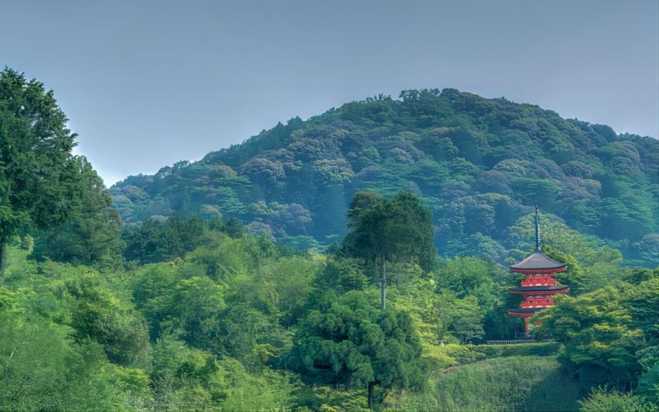 Kyoto: Customizable Private Tour With Hotel Transfers - Customer Feedback