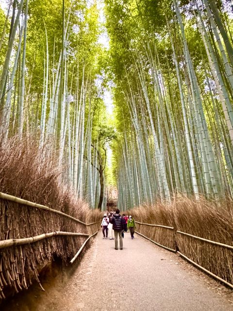 Kyoto: Fully Customizable Half Day Tour in the Old Capital - Included Services