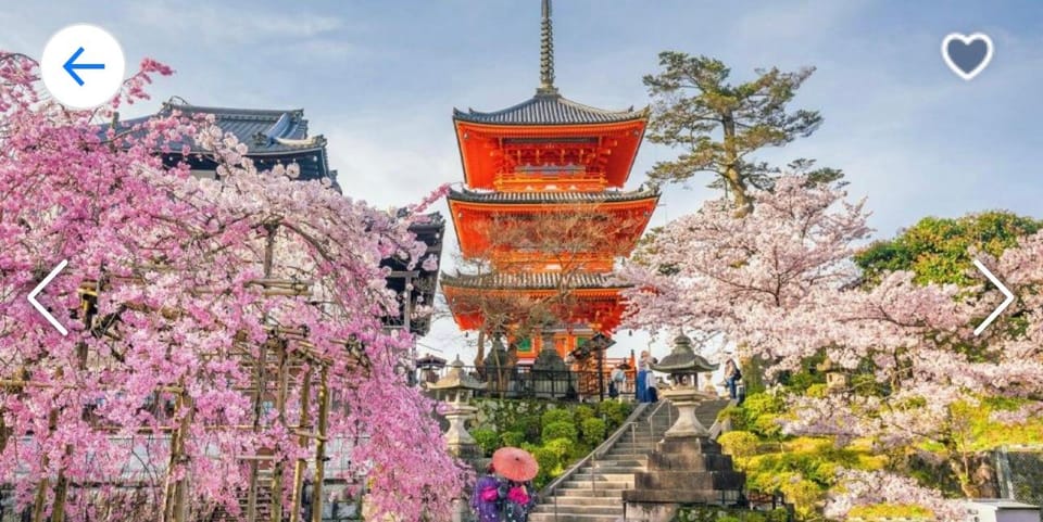 Kyoto: Highlight Tour With English-Speaking Driver - Tour Experience