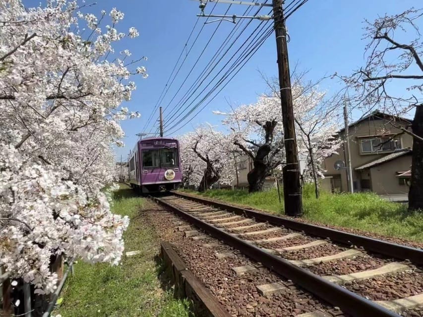 Kyoto/Osaka: Sanzen-in and Arashiyama Day Trip - Arashiyama Exploration