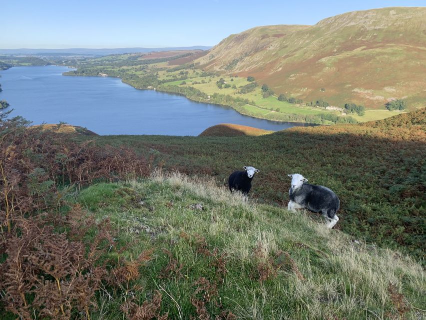 Lake District: Digital Self Guided Walk With Maps & Discount - Discovering Landmarks and Fun Facts