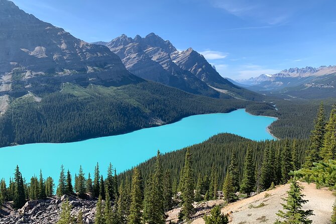 Lake Louise and the Icefields Parkway Full-Day Tour - Pickup and Start Time