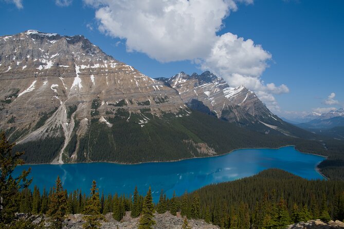 Lake View Full Day Tour-Moraine Lake, Lake Louise, Peyto Lake... - Traveler Information