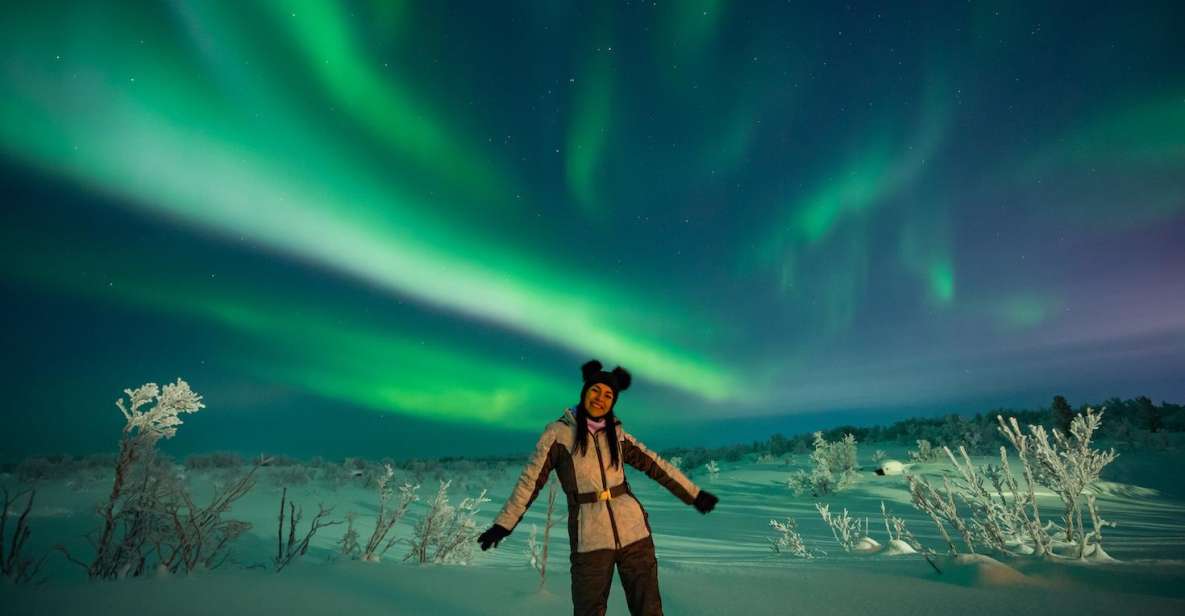 Lapland: Aurora Borealis BBQ Tour - Booking and Availability