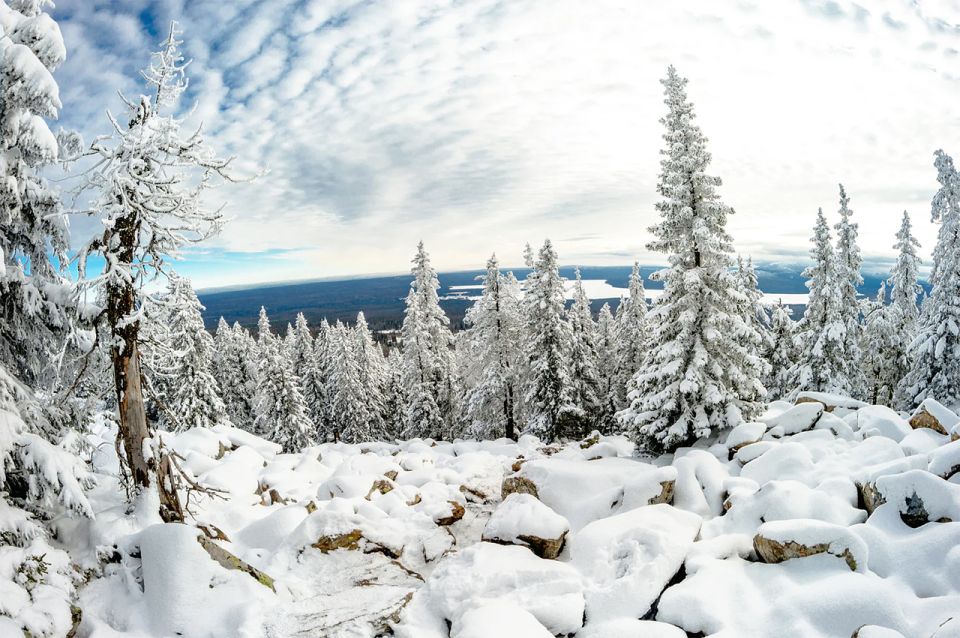 Lapland: The Frozen Waterfalls of Korouoma Tour - Important Information