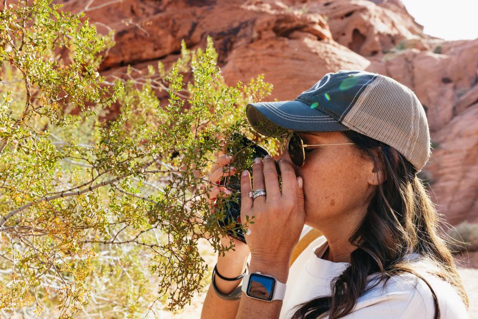 Las Vegas: Valley of Fire Guided Hike With Drinks and Snacks - Included in the Tour