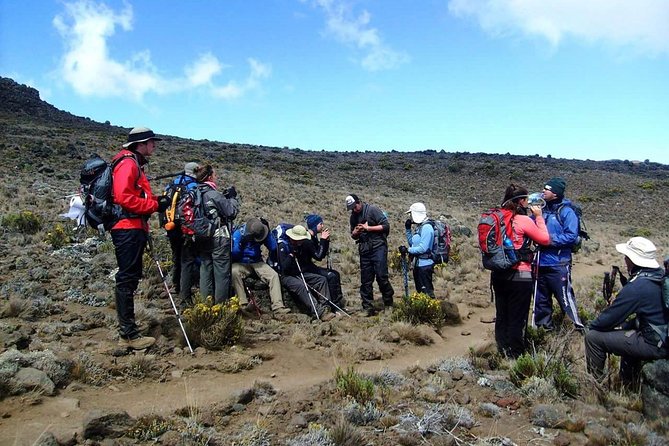 Lemosho Route 8 Days 7 Nights/Kilimanjaro Climb - Health and Safety Information