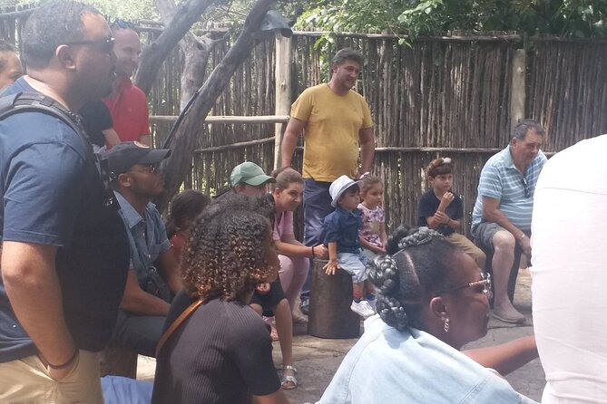 Lesedi Cultural Village Tour - Tour Inclusions