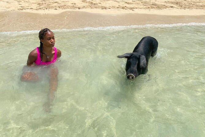 Lets Get Piggy With It: a Splashin Good Time With the Pigs! - Customer Feedback