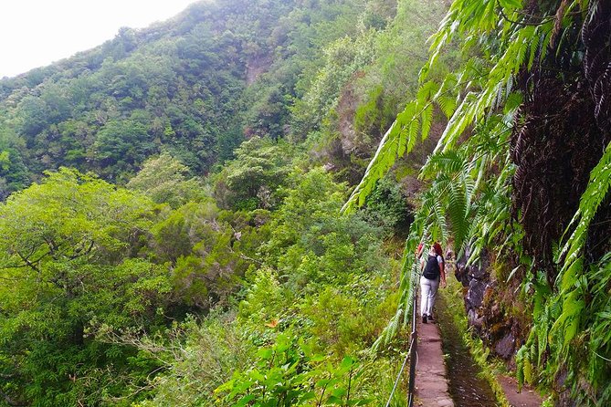 Levada Do Caldeirão Verde Levada Walk From Funchal - Marveling at the Caldeirao Verde Waterfall