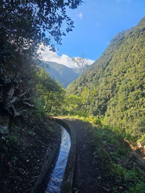 Levada Do Castelejo- Guided Tour by Overland Madeira - Atlantic Ocean Vistas