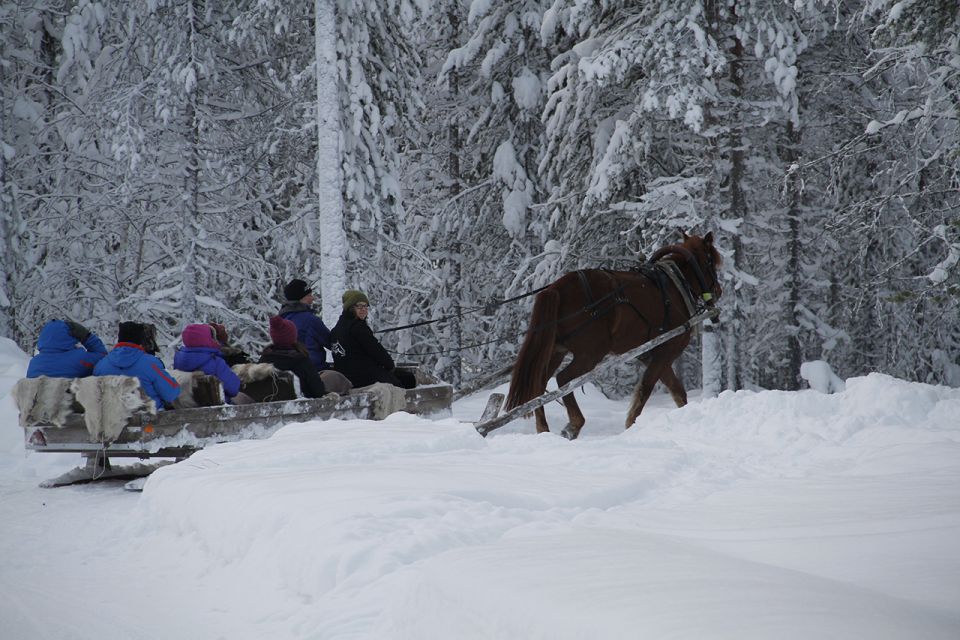 Levi, Polar Lights Tours: One Horse Open Sleigh Ride - Flexible Cancellation Policy