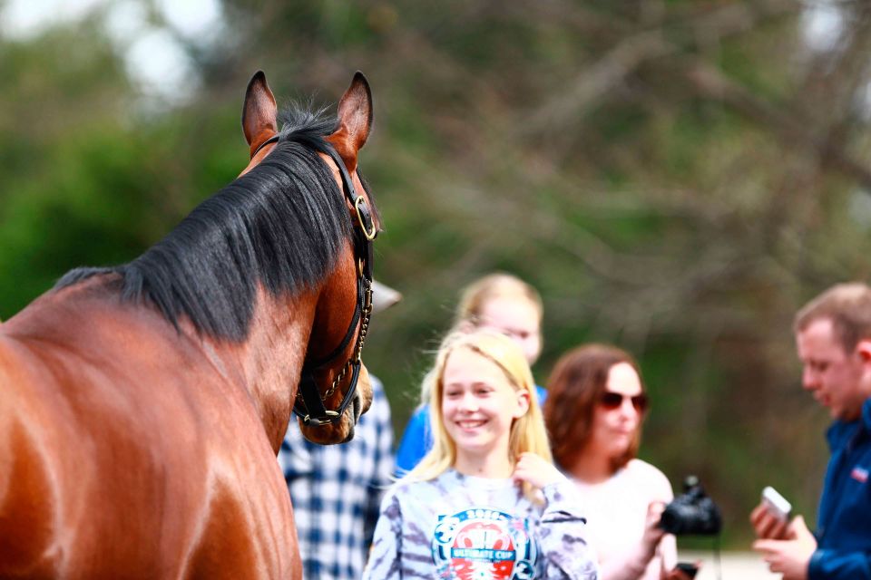 Lexington: Thoroughbred Horse Farm Tour and Keeneland Visit - Pickup Location