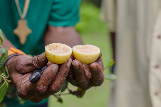 Liamuiga Natural Farm Tour - Refreshments and Snacks