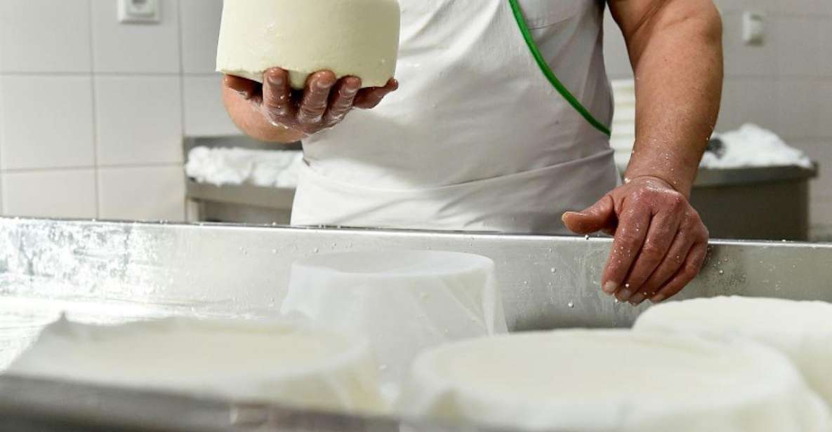 Lisbon: Azeitão Cheese Workshop With Wine & Food Tasting - Azeitão Wine Tour and Tasting