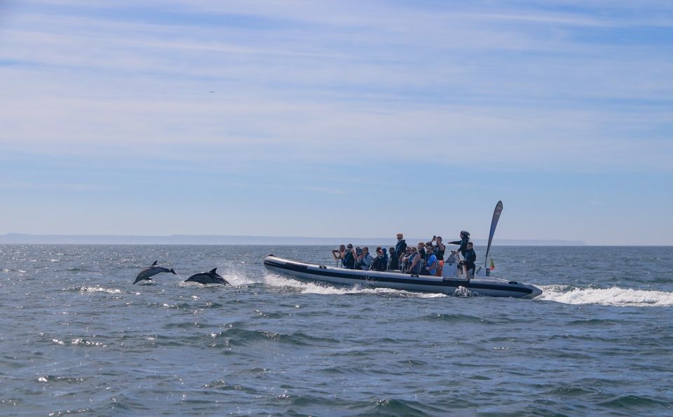 Lisbon: Dolphin Watching Boat Tour - Inclusions and Restrictions