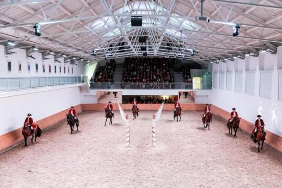 Lisbon: Portuguese Riding School Trainig With Lusitano Horse - Important Information