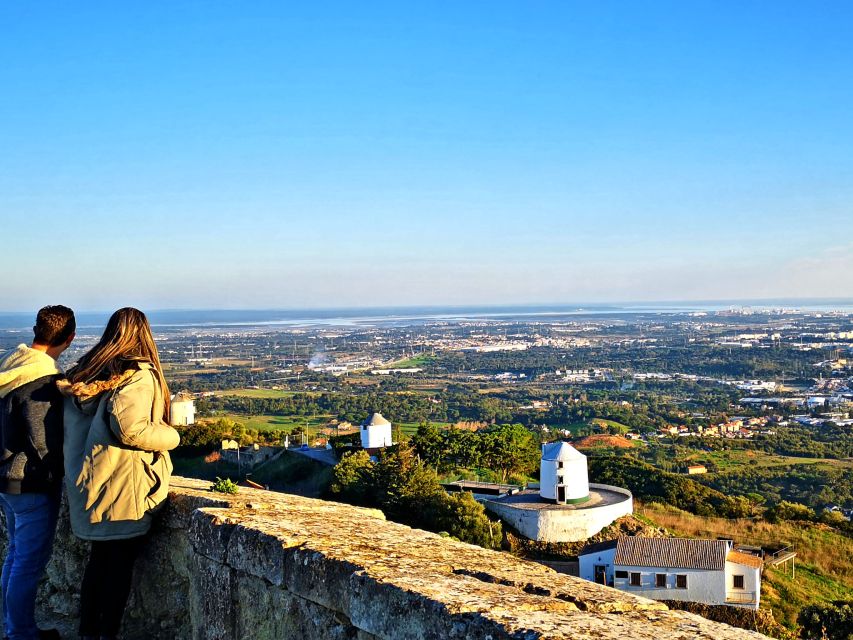 Lisbon: Setúbal History and Fish Market Guided Tour - Setúbal Bay and Port