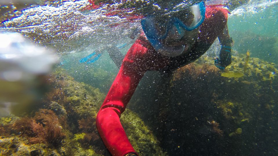 Lisbon: Snorkeling in Sesimbra/Arrábida Natural Park - Meeting Point