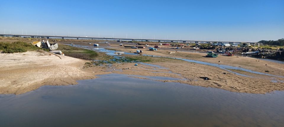 Lisbon: Tagus Estuary Nature Reserve Birdwatching Boat Tour - What to Bring