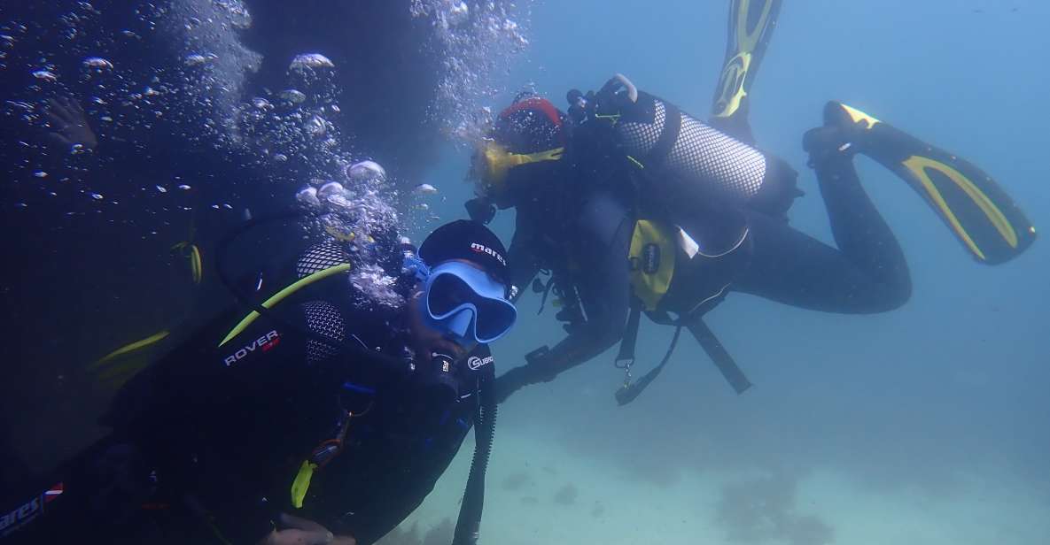 Lisbon: Try Diving in Arrábida Natural Park and Marine Reserve - Inclusions and What to Expect