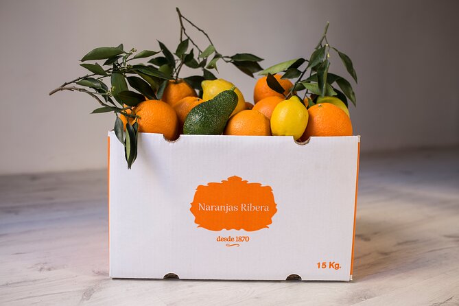 Live an Experience Among Orange Trees in Huerto Ribera - Valencian Artisan Products