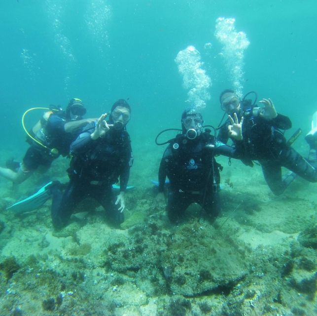 Lloret De Mar: Scuba Diving Experience No License Required - Customer Feedback