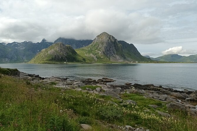 Lofoten PRIVATE Tour From Leknes - Small Group (1-4 Pax) - Tour Experience