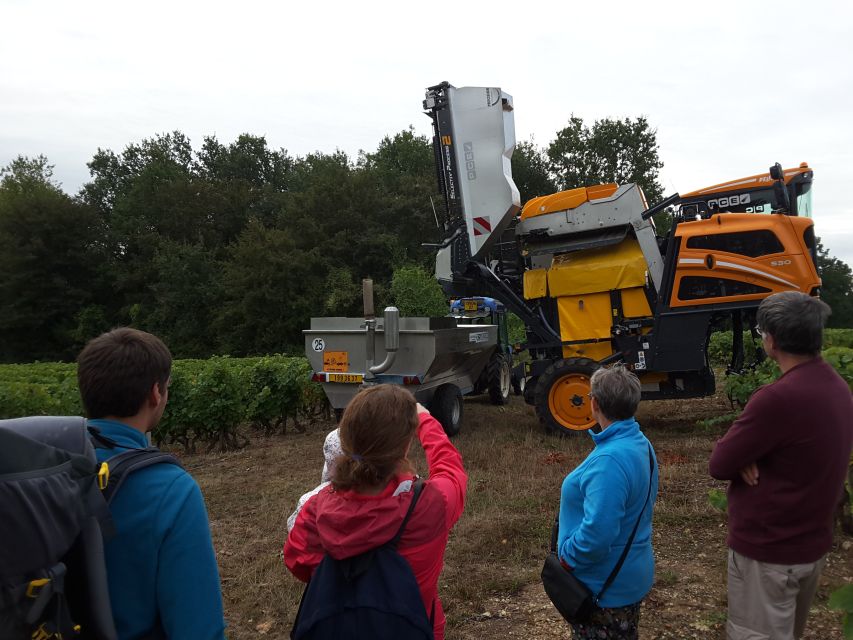 Loire Valley: Vouvray Vineyard Tour and Wine Tasting - Wine Tasting Experience