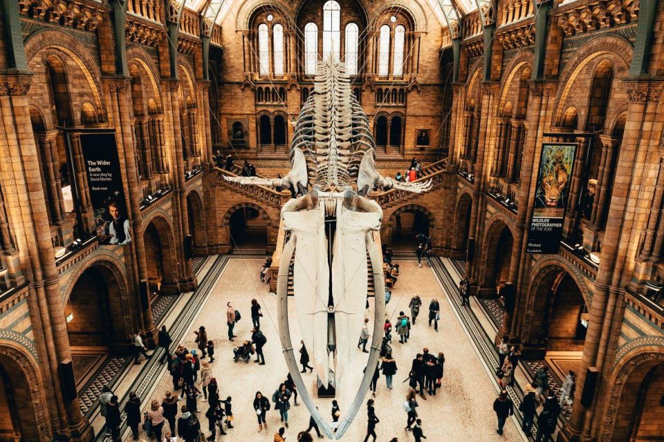 London: Natural History Museum In-App Audio Tour (No Ticket) - Exploring Evolution and Biodiversity