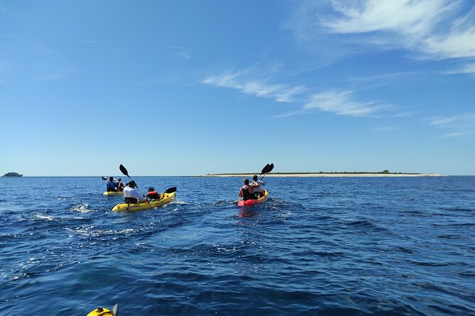 Long Island - Half-Day Kayak Adventure - Kayak Adventure