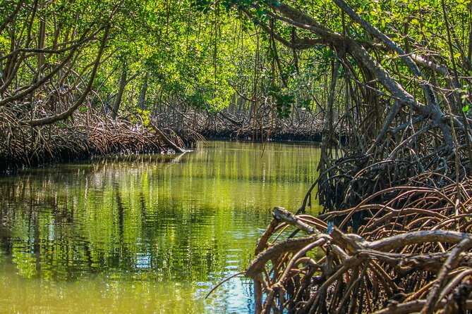 Los Haitises National Park - Sightseeing Opportunities