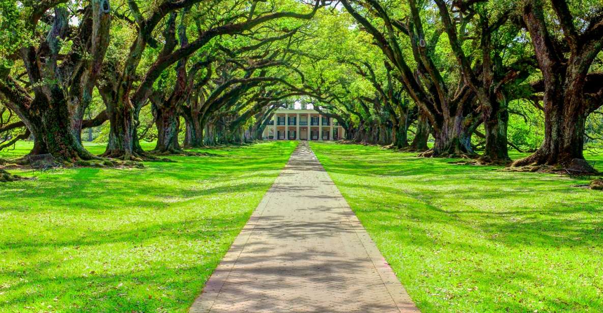 Louisiana Plantation Country Half-Day Tour - Enslaved Individuals Experiences