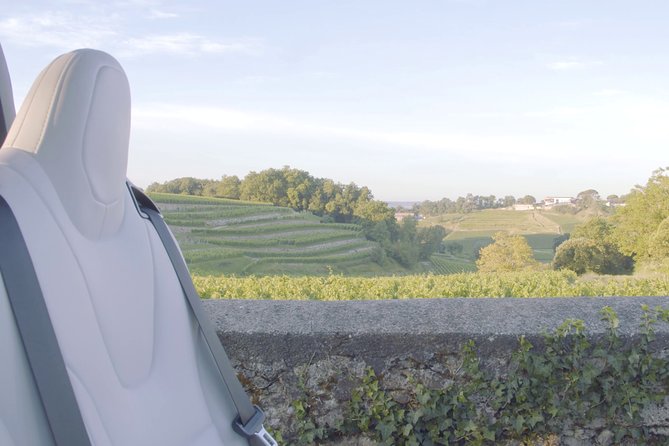 Luxurious Full Day Bordeaux Wine Tour in a Tesla - Expert Local Wine Guide