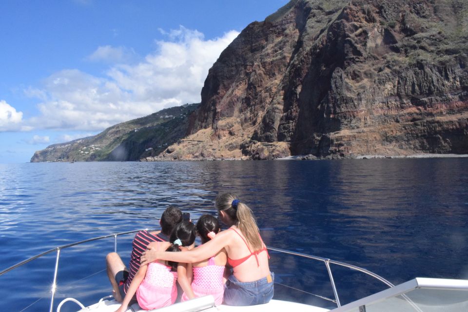 Madeira: 2.5-Hour Whale and Dolphin-Watching Cruise - Discovering Local Marine Life