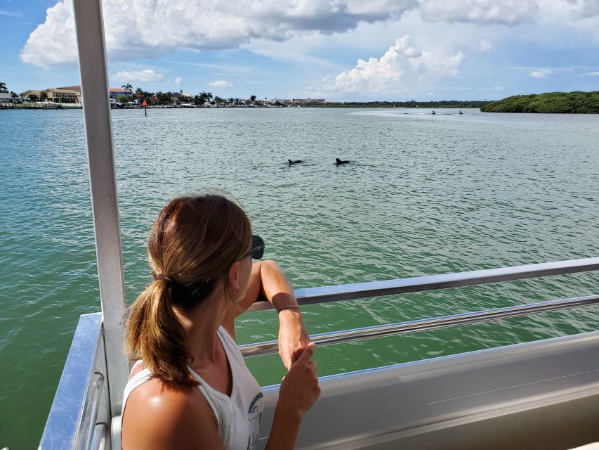 Madeira Beach: Guided Dolphin Watching Eco-Friendly Cruise - Customer Reviews and Ratings